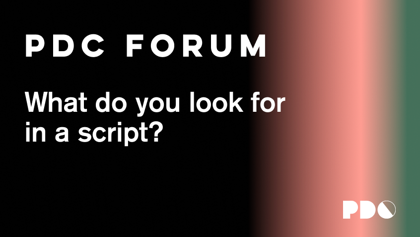 What do you look for in a script?