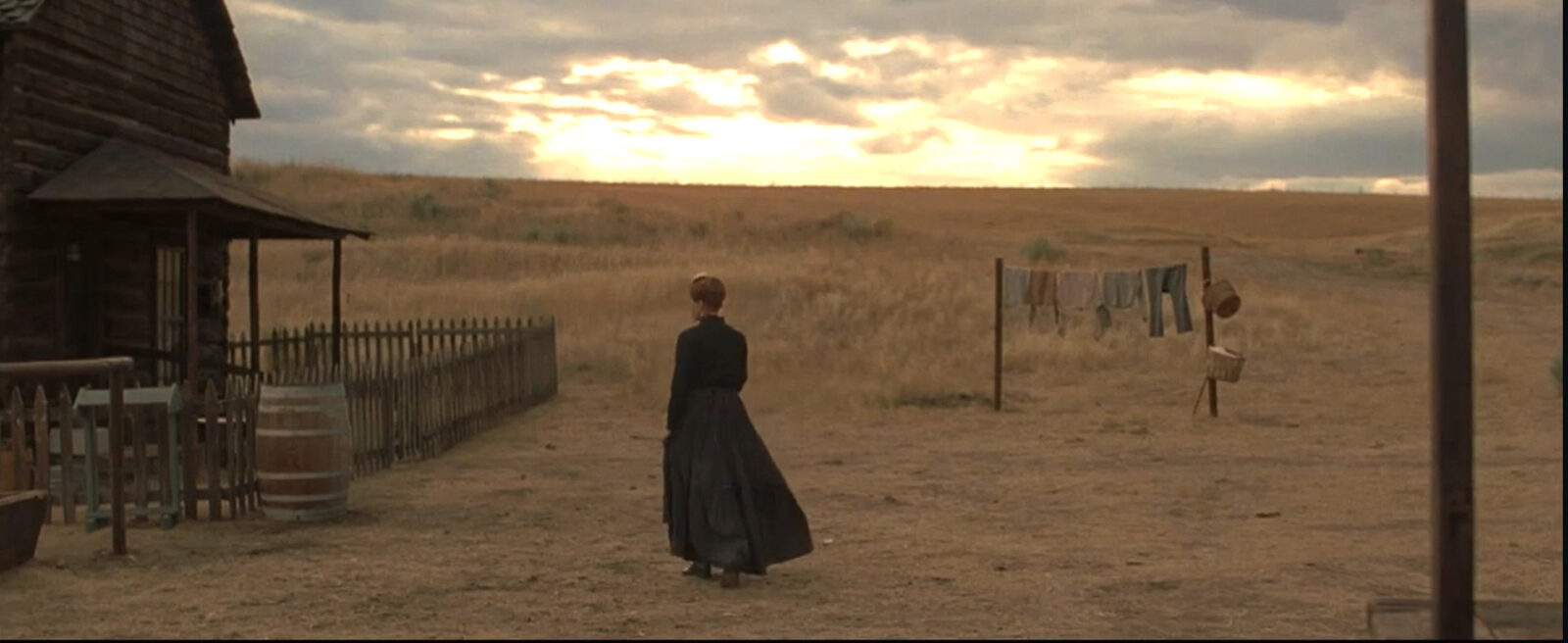 The Ballad of Lefty Brown