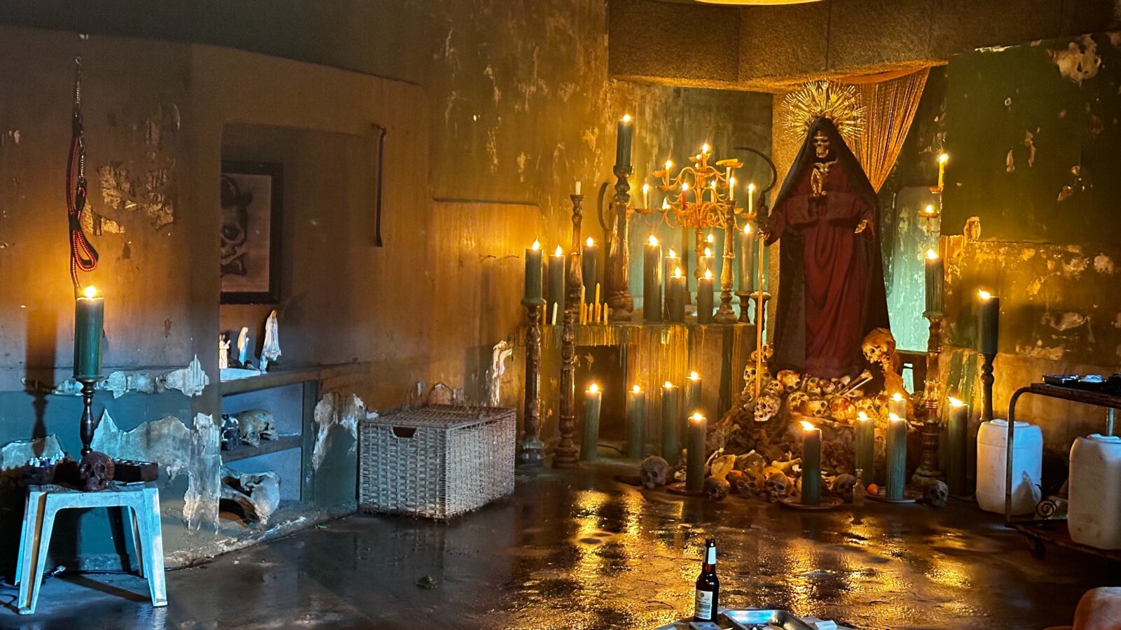 Muzzle: City of Wolves